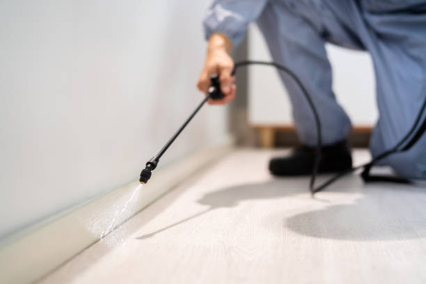 Bed Bug Pre-Treatment Preparation Assessment in Frazeysburg