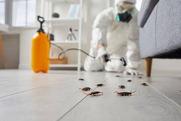 Post-Treatment Bed Bug Interceptor Monitoring in Frazeysburg